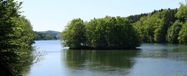 Krombacher Insel Insel auf grünem See, umgeben von dichtem Wald unter klarem blauen Himmel. Friedliche Naturkulisse.