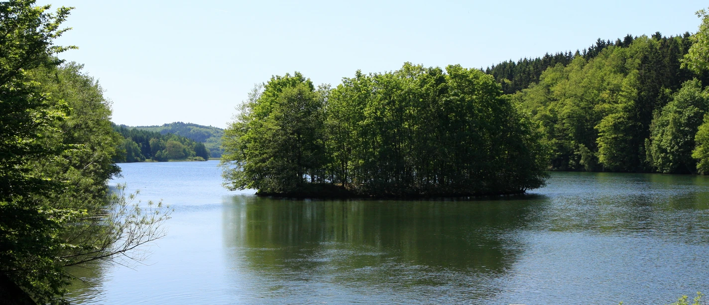 Krombacher Insel Insel auf grünem See, umgeben von dichtem Wald unter klarem blauen Himmel. Friedliche Naturkulisse.
