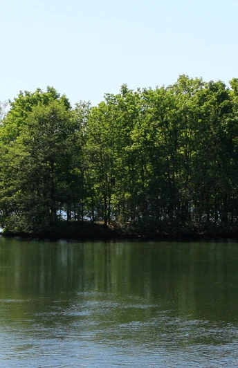 Krombacher Insel Insel auf grünem See, umgeben von dichtem Wald unter klarem blauen Himmel. Friedliche Naturkulisse.