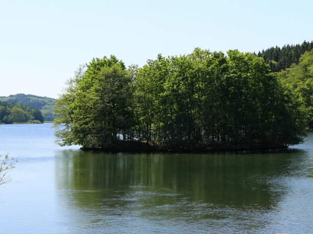 Krombacher Insel Insel auf grünem See, umgeben von dichtem Wald unter klarem blauen Himmel. Friedliche Naturkulisse.