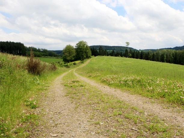 Bergischer Panoramasteig in Neuenothe Ein schmaler Kiesweg führt durch eine grüne Feldlandschaft mit Wiesen und bewaldeten Hügeln im Hintergrund.