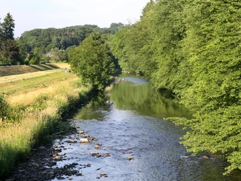 Agger in Overath Eine ruhige, von Bäumen gesäumte Flusslandschaft mit klarem Wasser fließt durch eine grüne Umgebung.