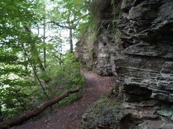 an der Wupper zwischen Solingen und Leichlingen Ein schmaler Waldpfad führt entlang felsiger Klippen, umgeben von dichtem, grünem Laubwerk.