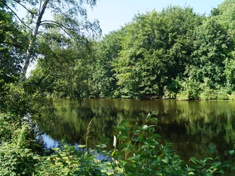 Heisinger Bogen am Baldeneysee <p>Ein ruhiger, bewaldeter Flusslauf spiegelt die üppigen Bäume am Ufer im klaren Wasser wider.</p>