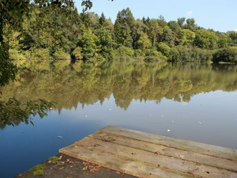 Herrenteich Seeufer mit Steg, umgeben von üppigen Bäumen, die sich im ruhigen Wasser spiegeln.