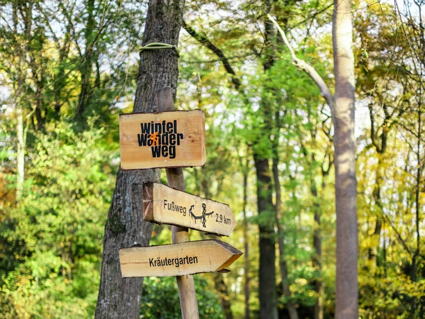 wipfelwanderweg-kurpark-bad-camberg-kneippheilbad.JPG wipfelwanderweg-kurpark-bad-camberg-kneippheilbad.JPG