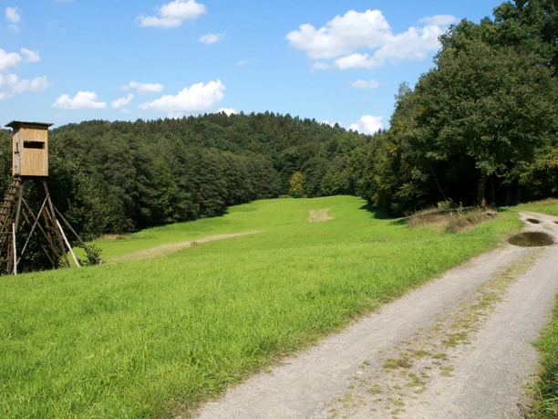 Wahnbachtal Waldweg neben Wiese mit Hochsitz und bewaldeten Hügeln im Hintergrund unter blauem Himmel.