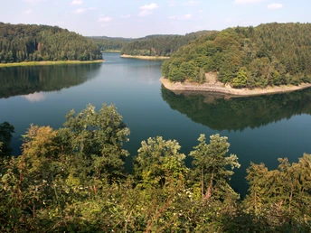 Wahnbachtalsperre Malebná vodní nádrž obklopená hustými zelenými lesy pod jasnou modrou oblohou.