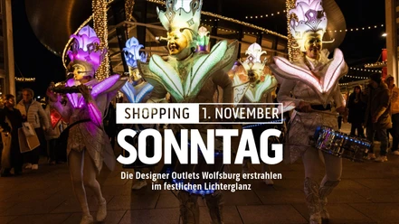VOS_dow-lichterfest_November 2026.jpg