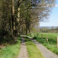 Bergischer Weg bei Wilmeroth Ein schmaler, von Bäumen gesäumter Weg führt an einer grünen Wiese mit offenem Himmel entlang.