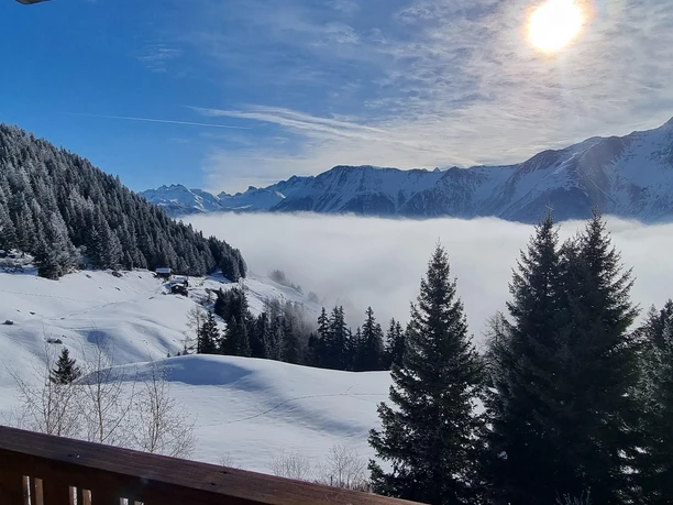 Aussicht vom Balkon Aussicht vom Balkon