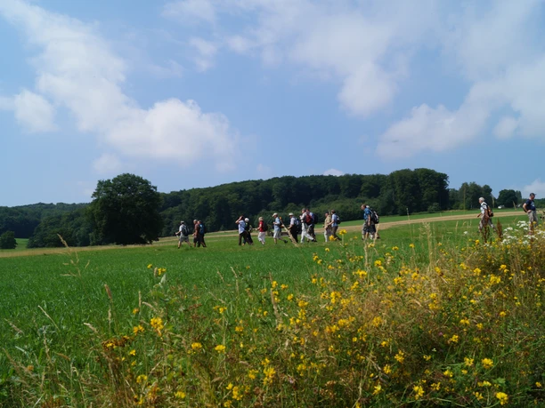 Bergischer Weg bei Ittenbach Eine Gruppe von Wanderern auf einem grünen Feld unter blauem Himmel mit Blumen im Vordergrund.