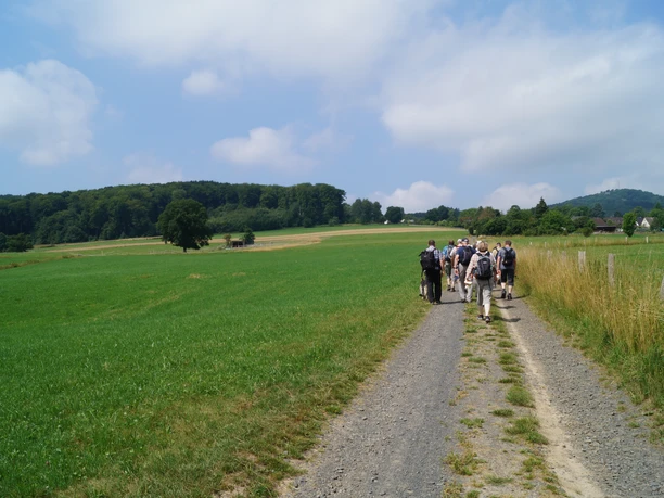 Blick auf den Großen Ölberg bei Ittenbach Gruppe von Wanderern auf ländlichem Weg, umgeben von grünen Feldern und bewaldeten Hügeln.