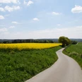 Rapsfeld bei Wülfrath Ein schmaler Weg schlängelt sich durch grüne Felder und gelbe Rapsfelder unter blauem Himmel.
