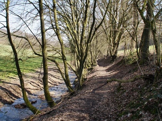 Bergischer Weg am Eselsieper Bach Ein schmaler Waldweg führt entlang eines kleinen, flachen Baches, umgeben von kahlen Bäumen.