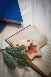 Weihnachtsbuch