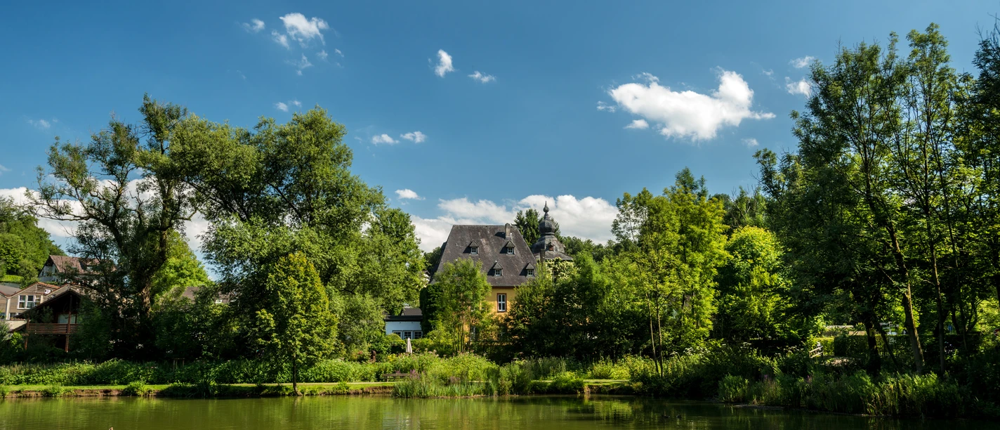Herrenstrunden (Burg Zweiffel) Ein malerischer See mit Enten, umgeben von üppigem Grün und einem historischen Gebäude im Hintergrund.