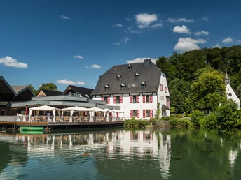 Herrenstrunden (Malteser Komturei) Ein malerisches Gebäude am ruhigen Seeufer, umgeben von Bäumen und blauem Himmel, mit Terrasse.