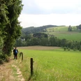 Bergischer Weg hinter Scheuren Wanderer auf schmalem Pfad neben einer grünen Wiese mit Blick auf sanfte Hügel und Wälder.