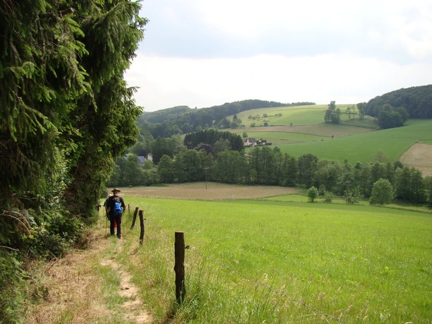 Bergischer Weg hinter Scheuren Wanderer auf schmalem Pfad neben einer grünen Wiese mit Blick auf sanfte Hügel und Wälder.