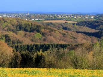 Ausblick bei Eulenthal <!-- Panoramablick auf eine sanfte Hügellandschaft mit Wäldern und Feldern unter klarem, blauem Himmel. -->
