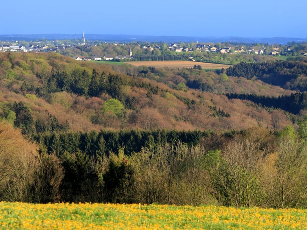 Ausblick bei Eulenthal <!-- Panoramablick auf eine sanfte Hügellandschaft mit Wäldern und Feldern unter klarem, blauem Himmel. -->