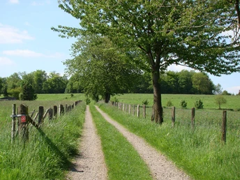 Markierungszeichen am Wanderweg Langer Feldweg mit Bäumen und Wiesen, gesäumt von Zäunen unter blauem Himmel in ländlicher Umgebung.