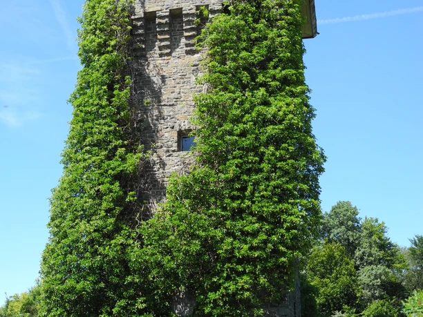 Eindrücke am Wegesrand Ein steinerner Turm, bewachsen mit grünem Efeu, steht vor einem klaren blauen Himmel.