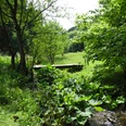 Eindrücke am Wegesrand Ein kleiner Holzsteg überquert einen Bach in einer grünen, bewaldeten Landschaft an einem sonnigen Tag.