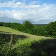 Eindrücke am Wegesrand Landschaft mit grünen Wiesen, dichten Bäumen und weitem Himmel unter leicht bewölktem Himmel.