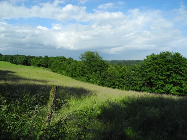 Eindrücke am Wegesrand Landschaft mit grünen Wiesen, dichten Bäumen und weitem Himmel unter leicht bewölktem Himmel.
