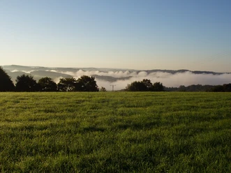 Eindrücke am Wegesrand Morgennebel schwebt über einer grünen Wiese mit bewaldeten Hügeln im Hintergrund bei Sonnenaufgang.