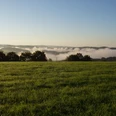 Eindrücke am Wegesrand Morgennebel schwebt über einer grünen Wiese mit bewaldeten Hügeln im Hintergrund bei Sonnenaufgang.