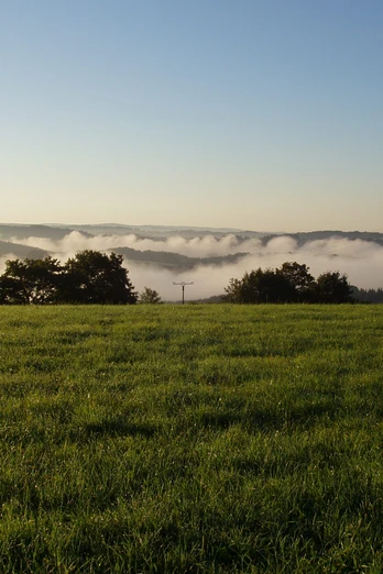 Eindrücke am Wegesrand Morgennebel schwebt über einer grünen Wiese mit bewaldeten Hügeln im Hintergrund bei Sonnenaufgang.