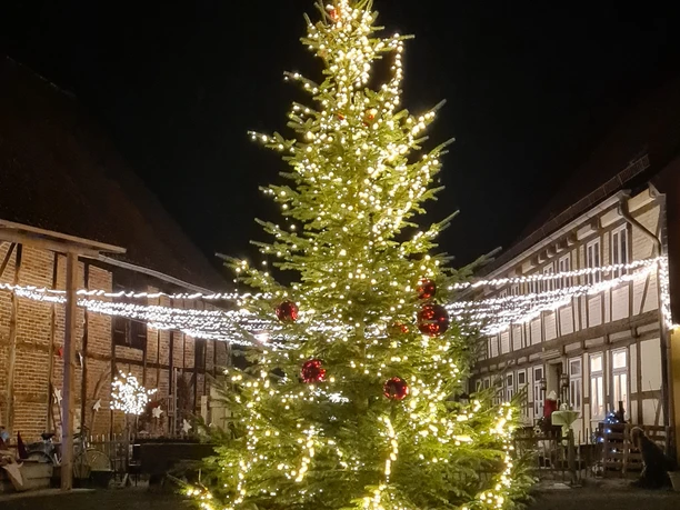 Baum3.jpg Baum3.jpg