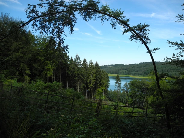 Eindrücke am Wegesrand Ein natürlicher Torbogen aus Ästen rahmt einen Blick auf einen ruhigen See, umgeben von Wäldern.