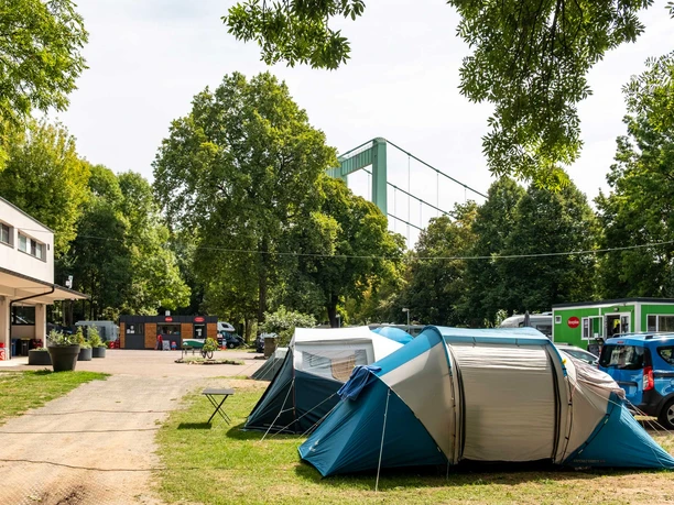 Campingplatz Stadt Köln Zelte auf dem Campingplatz Stadt Köln unter Bäumen, im Hintergrund die Rodenkirchener Brücke