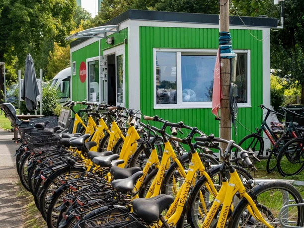 Campingplatz Stadt Köln Gelbe Leihfahrräder vor grüner Camping-Rezeption, dahinter die Rheinbrücke