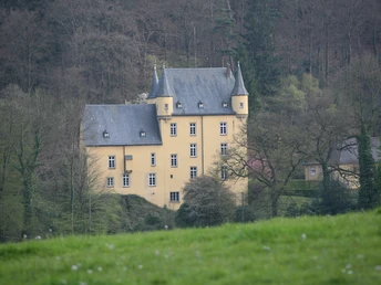 Schloss Strauweiler Gelbes Schlösschen mit spitzen Türmen in bewaldeter Umgebung, umgeben von grüner Wiese.
