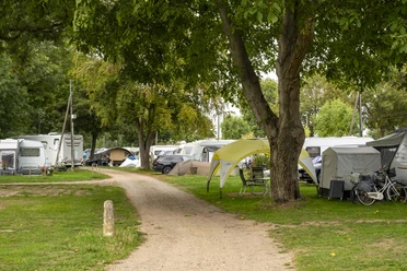 Camping Berger Wohnwagen und Zelte auf dem Campingplatz Berger unter großen Bäumen in Köln