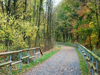 Balkantrasse in Burscheid Ein herbstlicher, von buntem Laub gesäumter Wanderweg im Wald mit Holzgeländer und Asphaltweg.