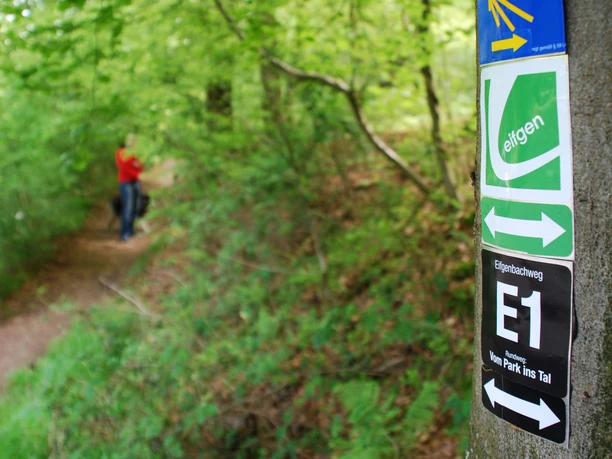 Eindrücke am Wegesrand Wanderweg im Wald, markiert mit Schildern und einem Wanderer im roten Shirt im Hintergrund.