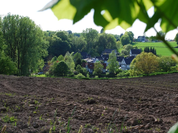 Eindrücke am Wegesrand Einfache Landschaftsansicht: Feld im Vordergrund, dahinter grüne Bäume und Wohnhäuser im Tal.