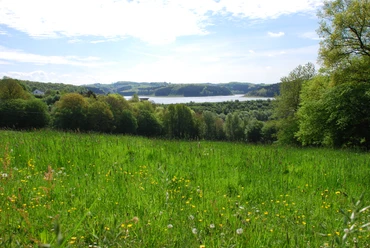 Blick auf die Dhünntalsperre Grüne Wiese mit gelben Blumen, dahinter dichter Wald und ein blauer See unter wolkenbedecktem Himmel.