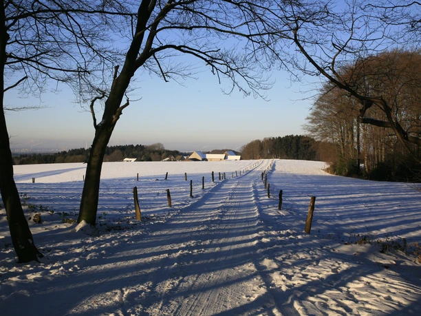 Fernblick Sonnenberg im Winter Verschneiter Feldweg in einer winterlichen, ländlichen Landschaft, gesäumt von kahlen Bäumen.