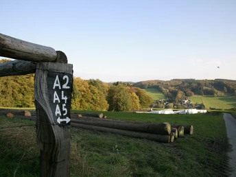 Wegezeichen Holzpfahl mit Wegmarkierung weist auf Wanderwege. Hintergrund zeigt hügelige Landschaft mit Wald.