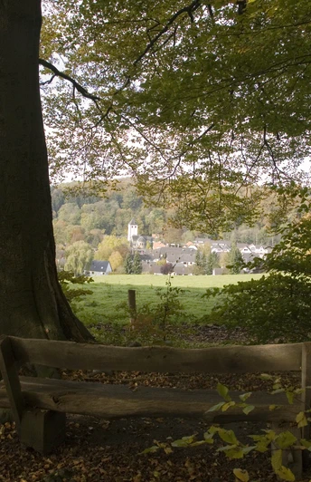 Selbach Holzbank unter Bäumen mit Blick auf eine Wiese und ein kleines Dorf im Hintergrund, Herbstszenario.