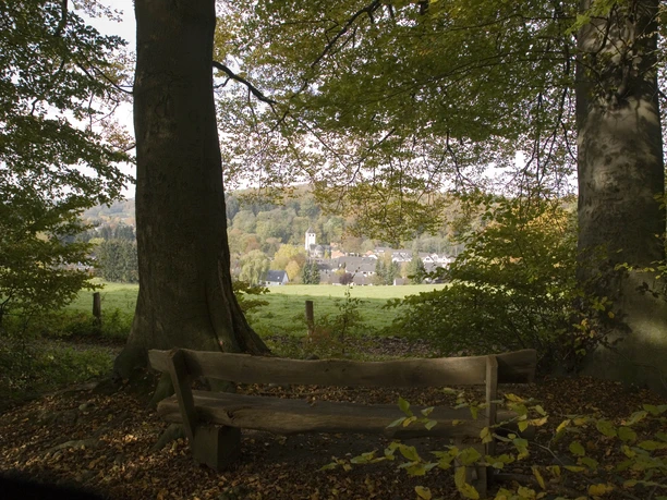 Selbach Holzbank unter Bäumen mit Blick auf eine Wiese und ein kleines Dorf im Hintergrund, Herbstszenario.