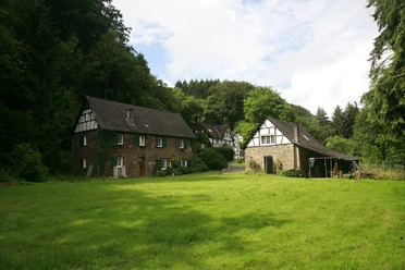 Steiner Mühle Fachwerkhäuser mit grünen Wiesen, umgeben von dichten Wäldern unter einem bewölkten Himmel.