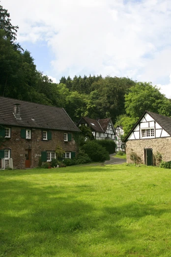Steiner Mühle Fachwerkhäuser mit grünen Wiesen, umgeben von dichten Wäldern unter einem bewölkten Himmel.